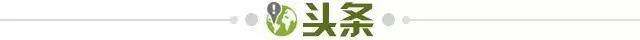 【早报】饮恨亚冠8强！C罗比山东泰山先出局